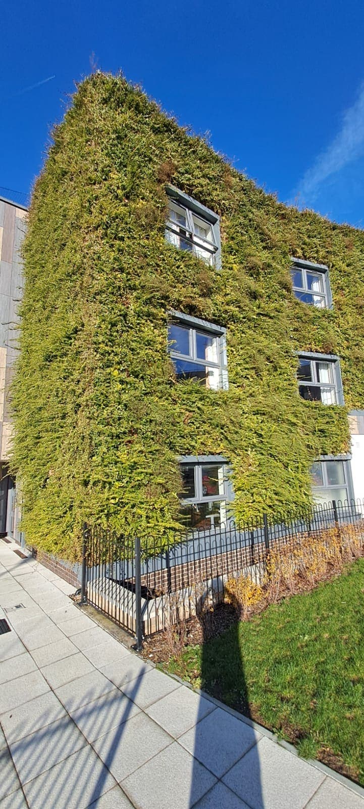 Green Wall Maintenance