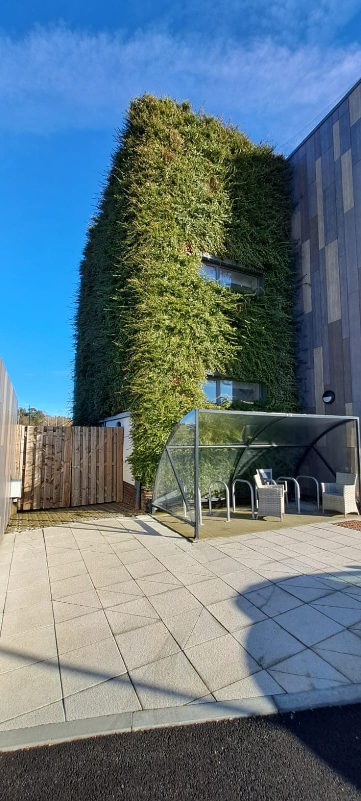 Effortless maintenance For Thriving Green Walls