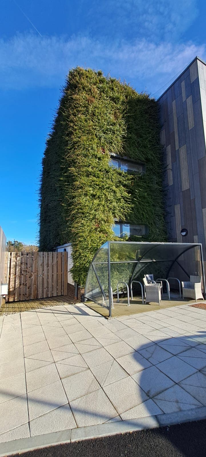 Green Wall Maintenance — 2