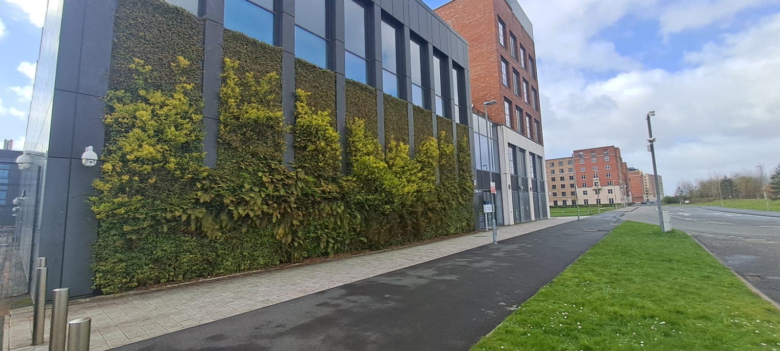 Green Wall Maintenance — 4