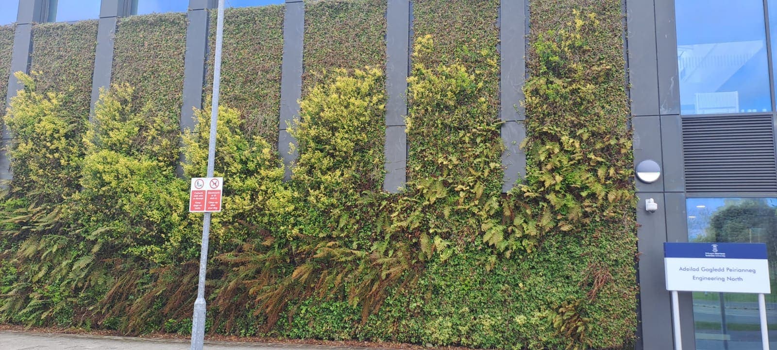 Green Wall Maintenance — 5