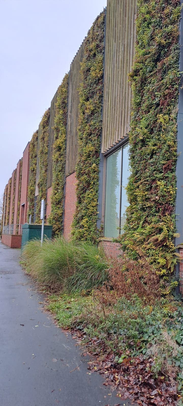 Green Wall Maintenance — 7