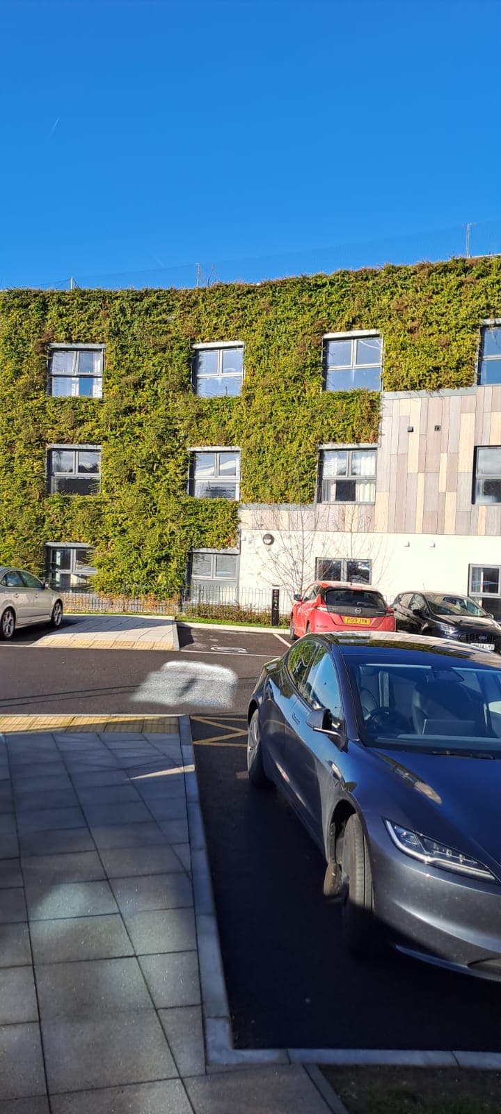 Green Wall Maintenance — 8