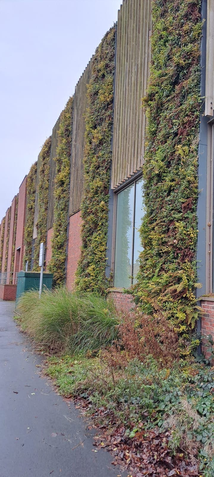 Landscaping & Urban Greening Services — 8