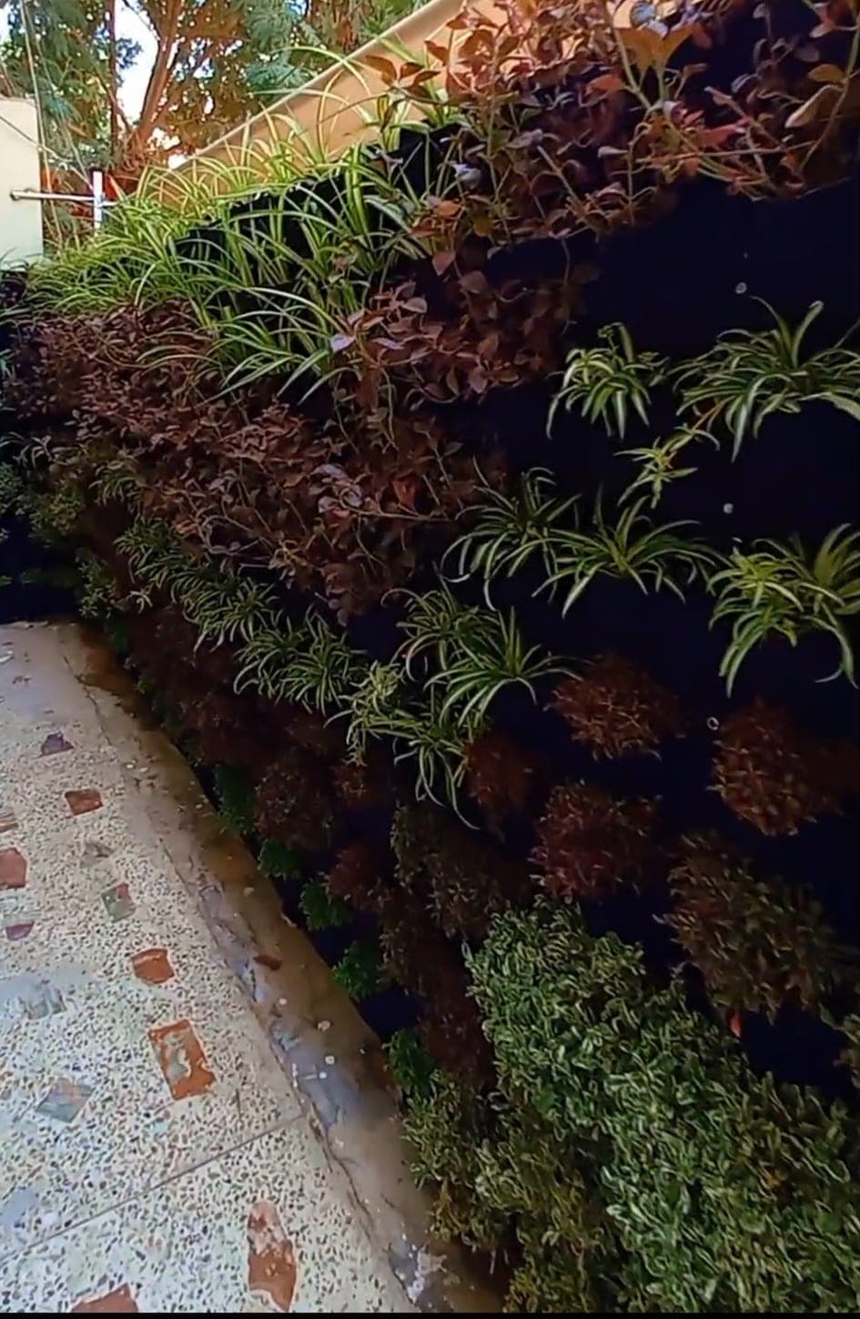Landscaping & Urban Greening Services — 4