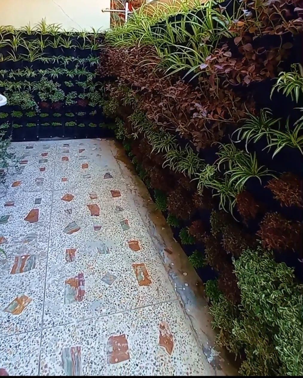 Landscaping & Urban Greening Services — 5