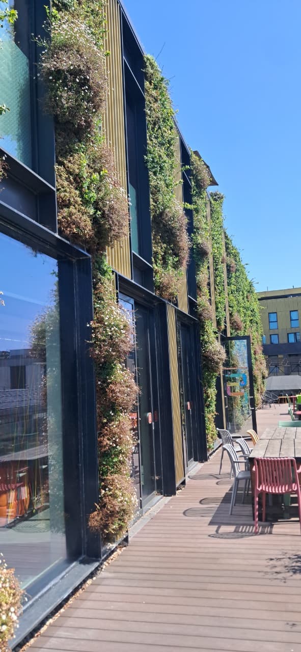 Living Wall Installation & Maintenance — 6