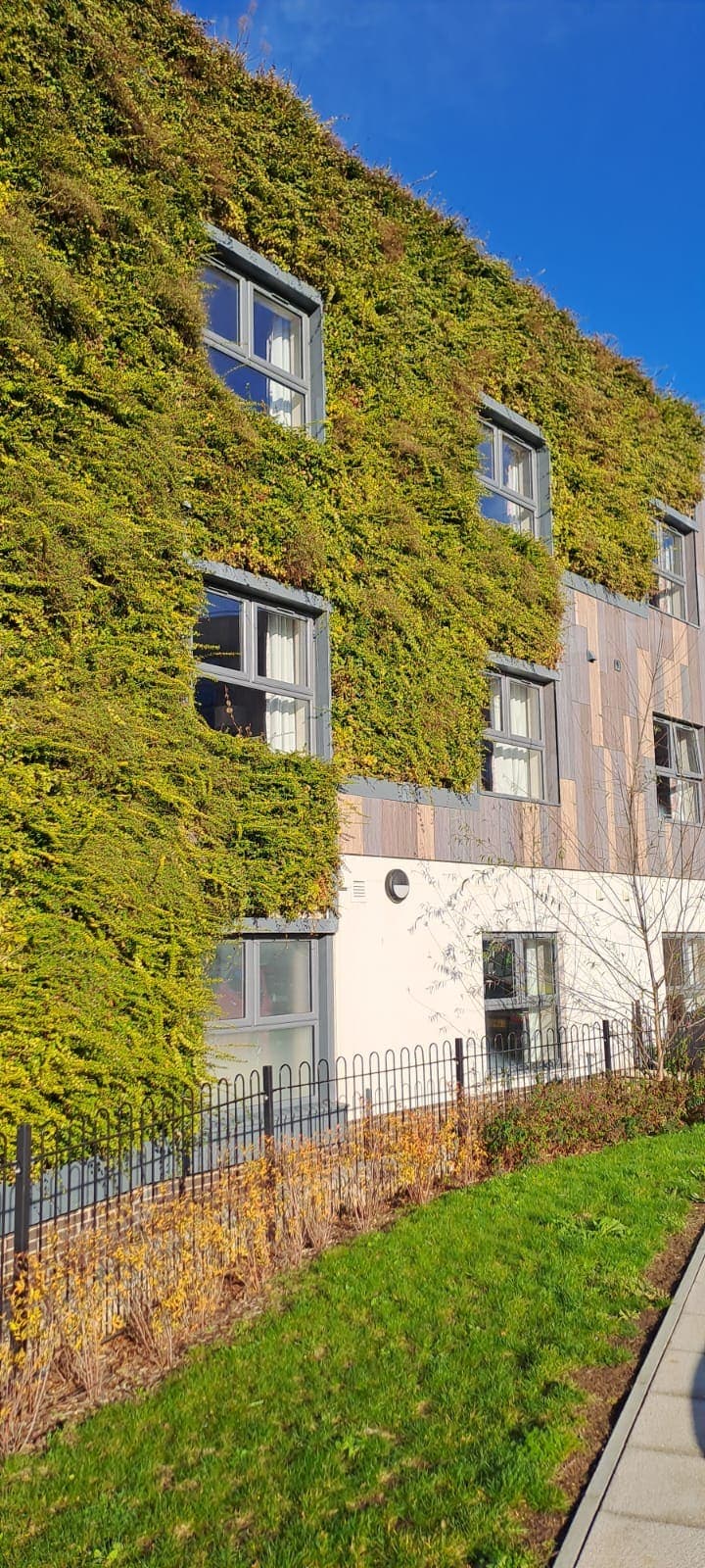 Living Wall Installation & Maintenance — 8