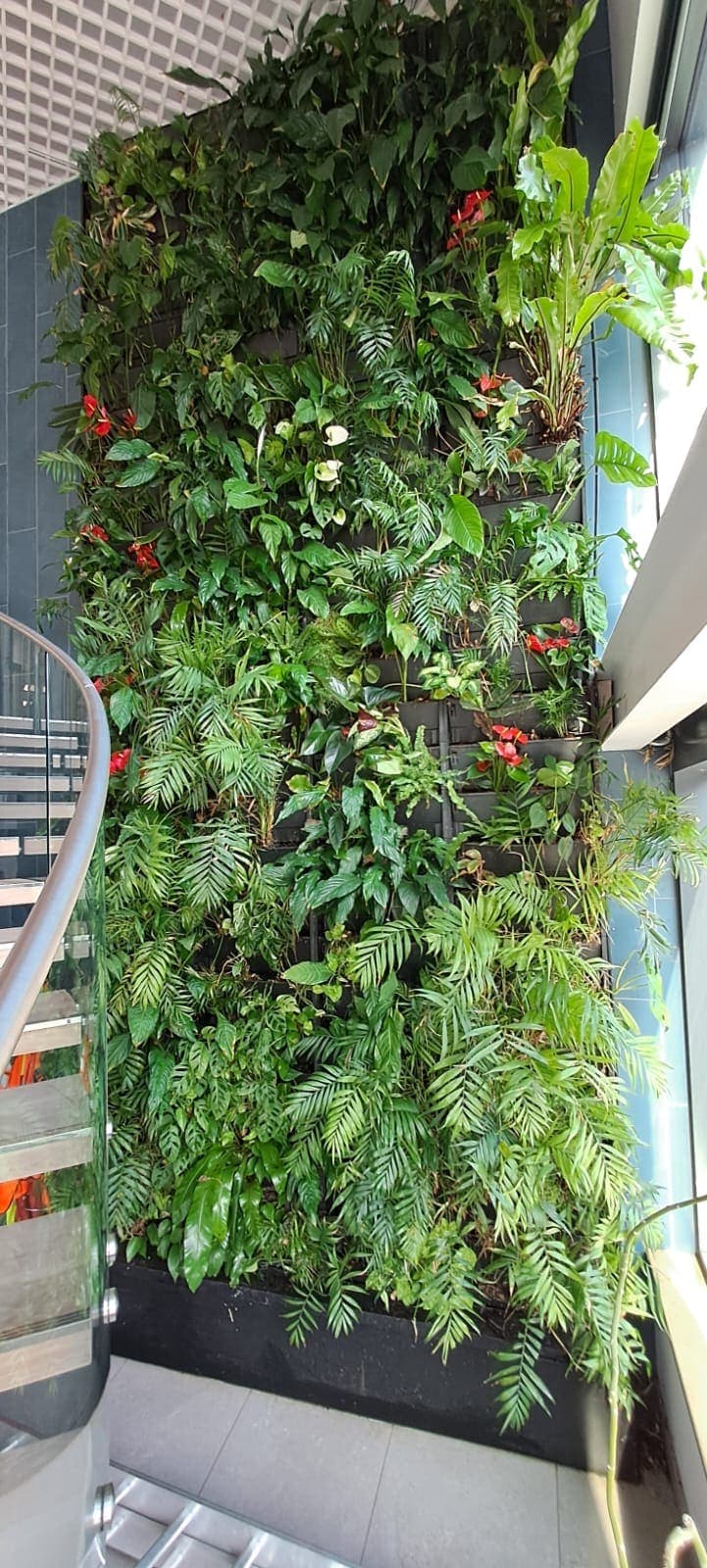 Living Wall Installation & Maintenance — 3