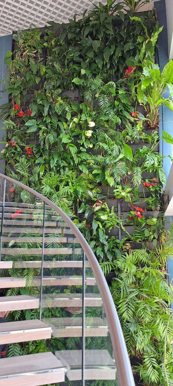 Living Wall Installation & Maintenance — 4
