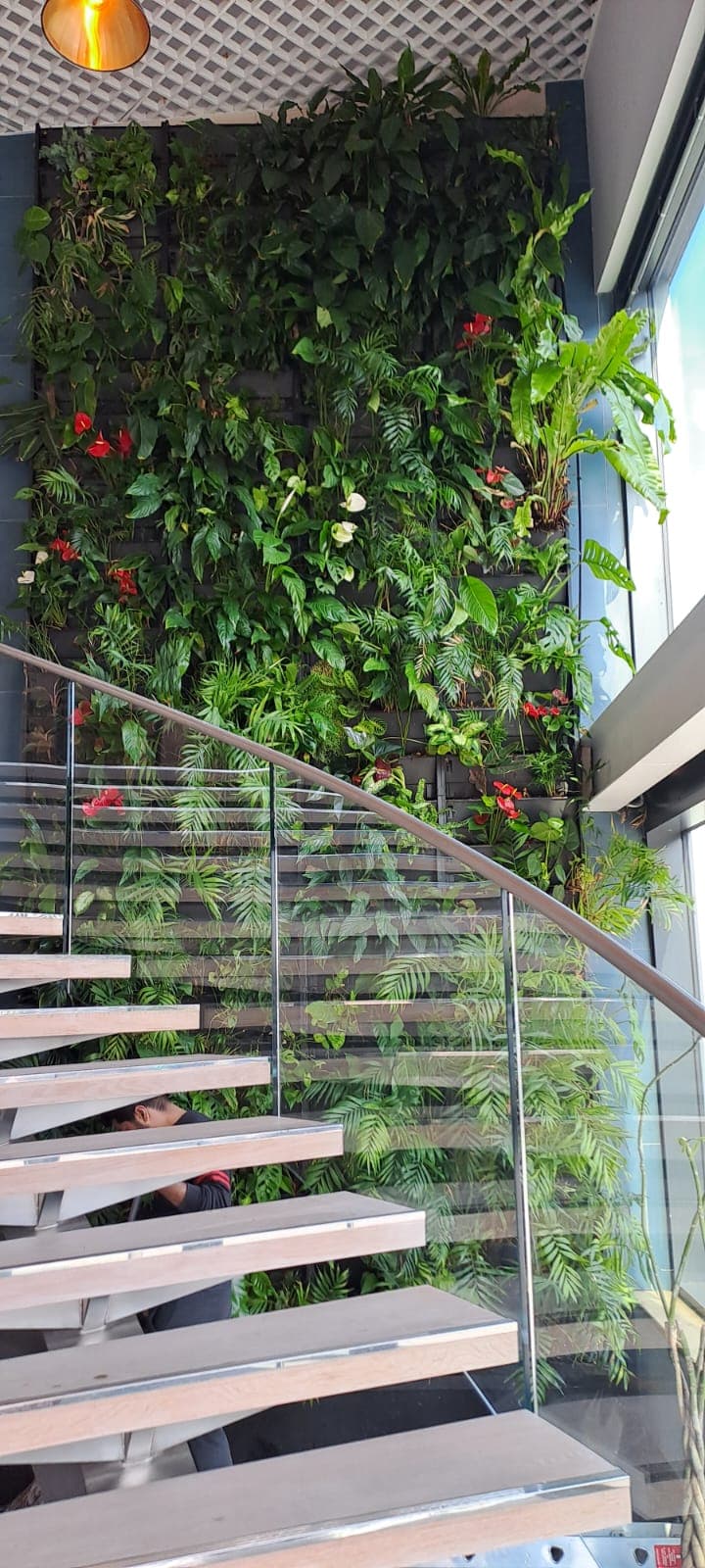 Living Wall Installation & Maintenance — 5