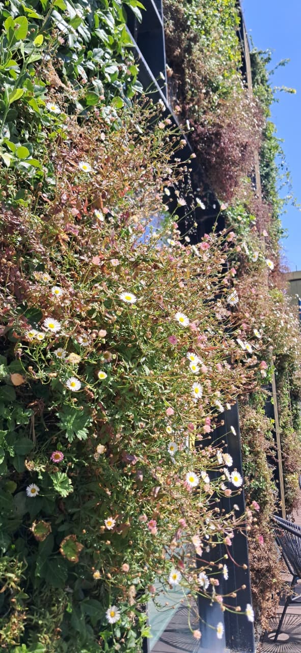 Smart Irrigation System Installation & Maintenance — 4