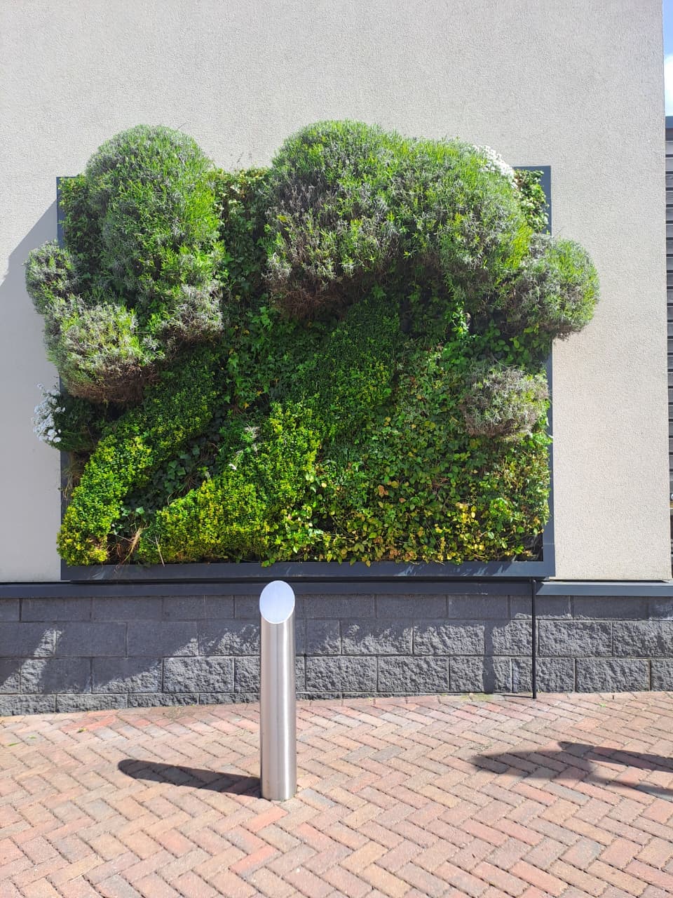 Green Wall Maintenance — 6